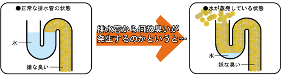 スマート排水管理人　悪臭の原因　［防臭、消臭、悪臭、排水管］