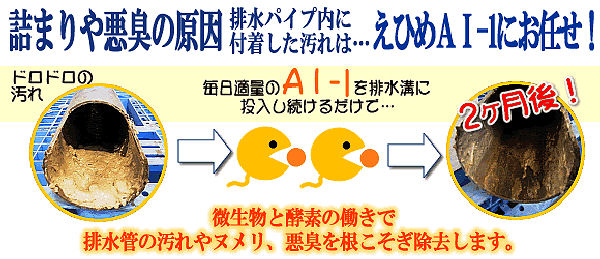 えひめＡＩ-１・Ｋ　製品特徴２　［消臭、油分解、食材由来、話題商品、水質改善、汚泥対策］